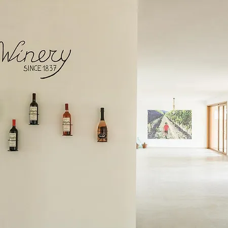 I Sentieri Del Vino - Lucone