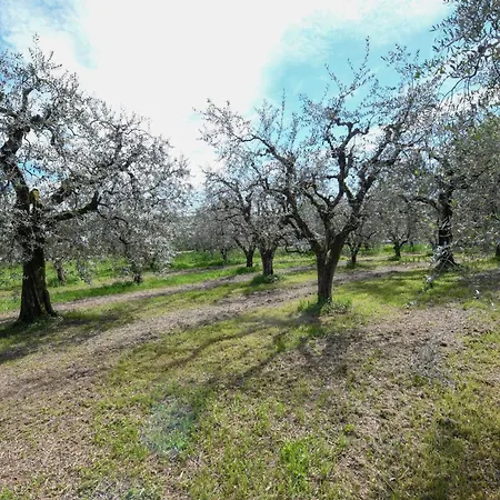 مزرعة للإقامة I Sentieri Del Vino - Lucone بولبينازي ديل جاردا
