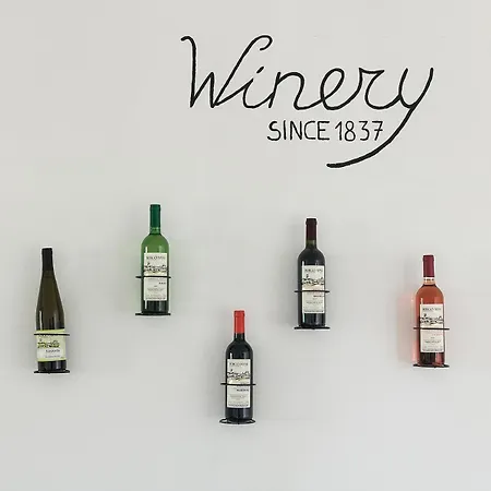 I Sentieri Del Vino - Lucone * Polpenazze del Garda